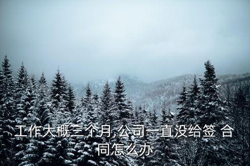 工作大概三個(gè)月,公司一直沒(méi)給簽 合同怎么辦