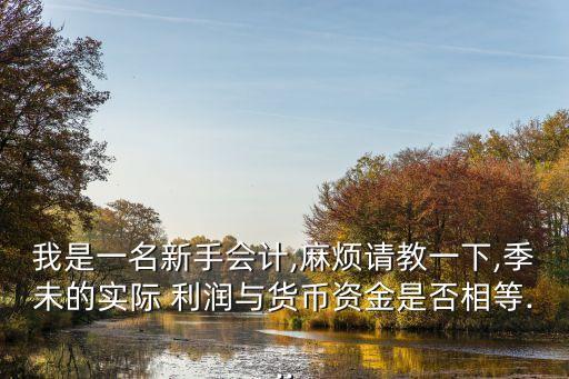 我是一名新手會計,麻煩請教一下,季未的實際 利潤與貨幣資金是否相等...