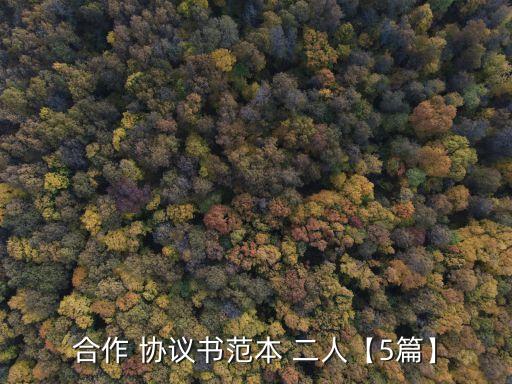 合作 協(xié)議書范本 二人【5篇】