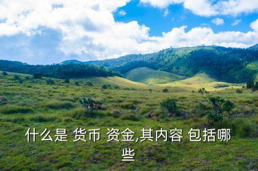 貨幣資金包括哪些,財務(wù)報表中貨幣資金包括哪些