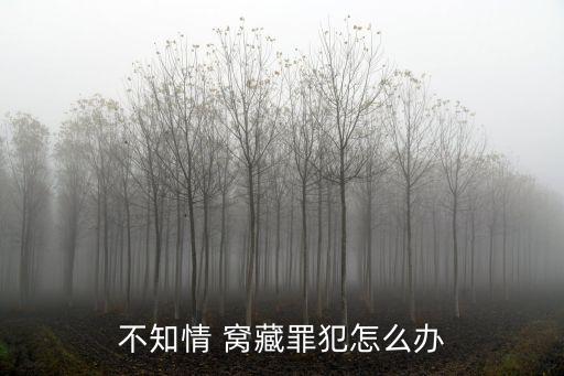 窩藏罪