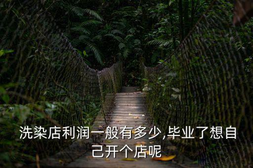  洗染店利潤一般有多少,畢業(yè)了想自己開個店呢