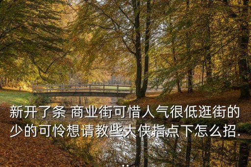 新開(kāi)了條 商業(yè)街可惜人氣很低逛街的少的可憐想請(qǐng)教些大俠指點(diǎn)下怎么招...