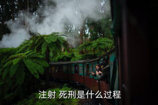  注射 死刑是什么過程