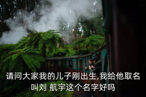 請(qǐng)問(wèn)大家我的兒子剛出生,我給他取名叫劉 航宇這個(gè)名字好嗎