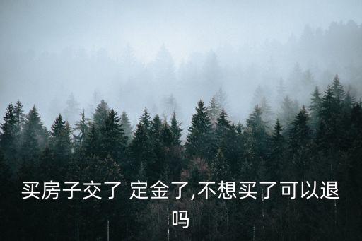 買房子交了 定金了,不想買了可以退嗎