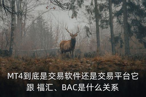 福匯外匯