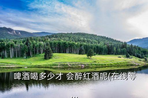  啤酒喝多少才 會醉紅酒呢(在線等…