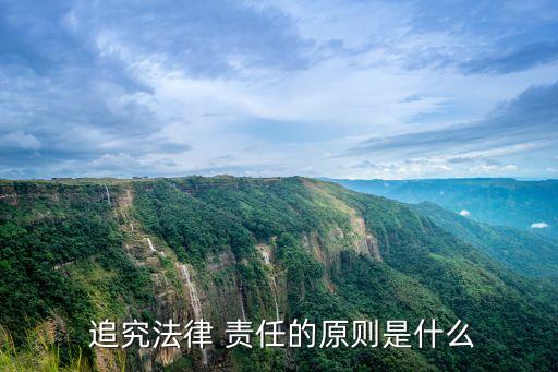 責(zé)任追究