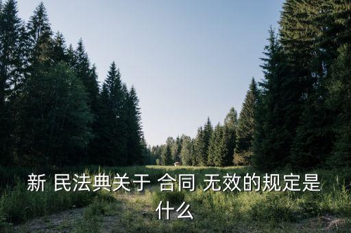 新 民法典關(guān)于 合同 無效的規(guī)定是什么