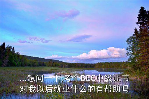 ...想問(wèn)一下,考個(gè)BEC中級(jí)證書(shū)對(duì)我以后就業(yè)什么的有幫助嗎