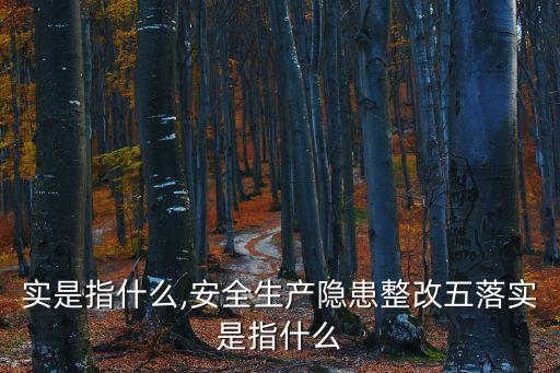 五落實(shí)是指什么,安全生產(chǎn)隱患整改五落實(shí)是指什么