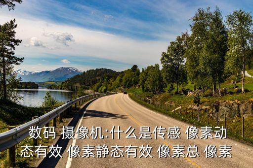  數(shù)碼 攝像機(jī):什么是傳感 像素動(dòng)態(tài)有效 像素靜態(tài)有效 像素總 像素