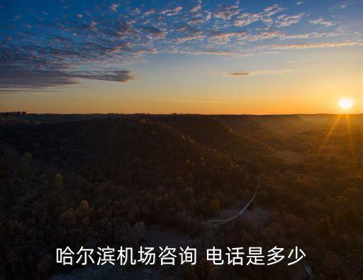 哈爾濱機(jī)場(chǎng)咨詢(xún) 電話是多少
