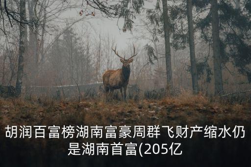 胡潤百富榜湖南富豪周群飛財(cái)產(chǎn)縮水仍是湖南首富(205億