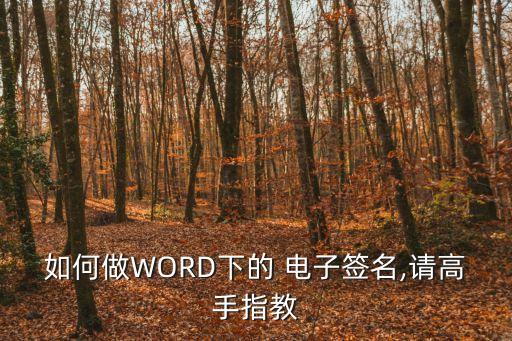 如何做WORD下的 電子簽名,請(qǐng)高手指教