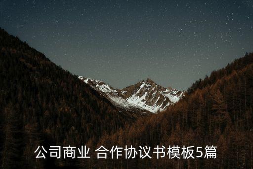 公司商業(yè) 合作協(xié)議書模板5篇
