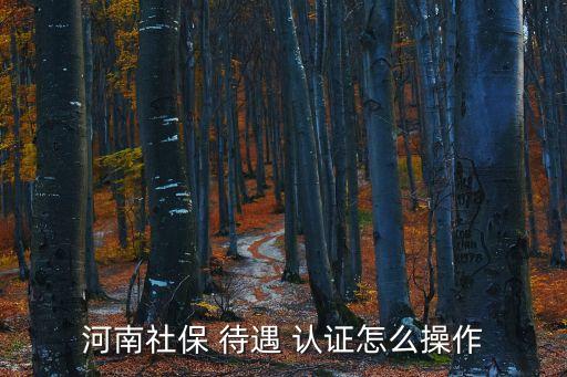 河南社保 待遇 認證怎么操作