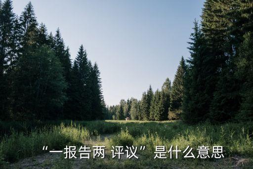 評議是什么意思,合議庭評議是什么意思