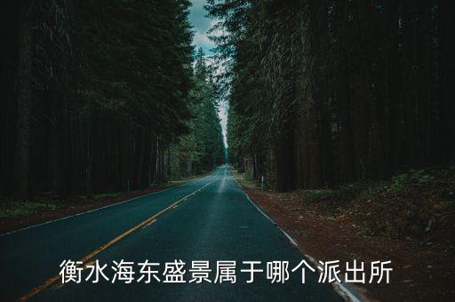 衡水海東盛景屬于哪個(gè)派出所