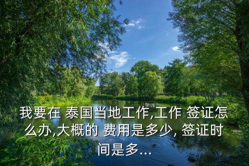 我要在 泰國(guó)當(dāng)?shù)毓ぷ?工作 簽證怎么辦,大概的 費(fèi)用是多少, 簽證時(shí)間是多...