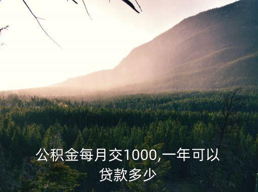  公積金每月交1000,一年可以 貸款多少