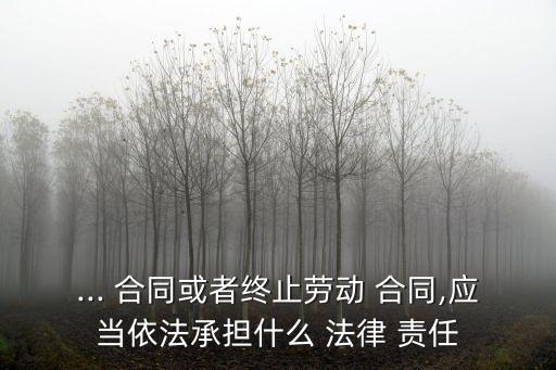 ... 合同或者終止勞動(dòng) 合同,應(yīng)當(dāng)依法承擔(dān)什么 法律 責(zé)任