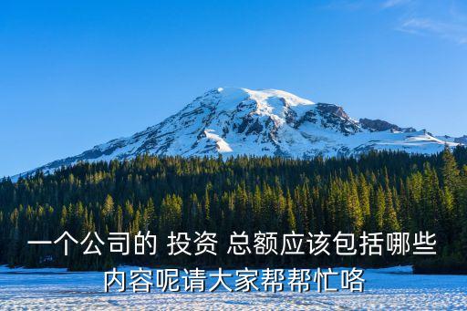 一個公司的 投資 總額應該包括哪些內(nèi)容呢請大家?guī)蛶兔? class=