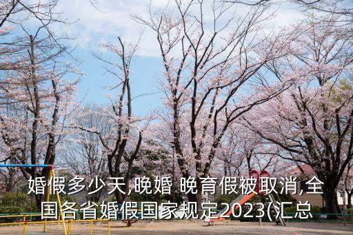 晚育假