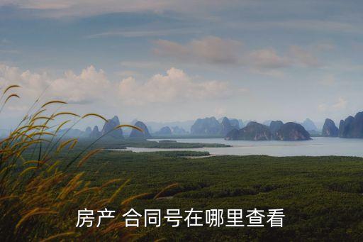 房產(chǎn) 合同號在哪里查看