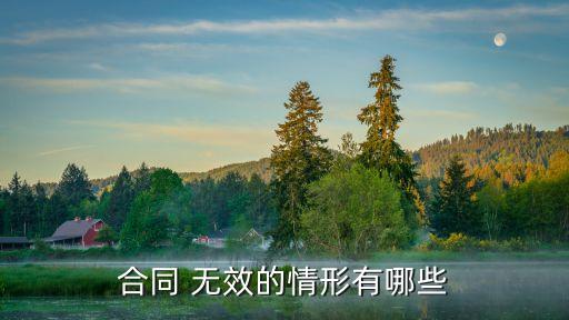 合同 無效的情形有哪些