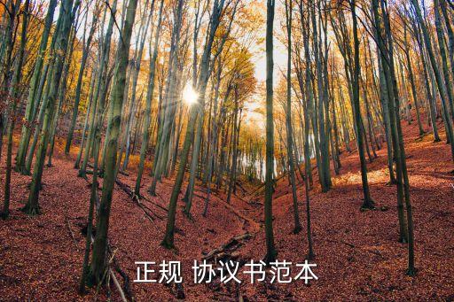 協(xié)議書模板,股東合作協(xié)議書模板