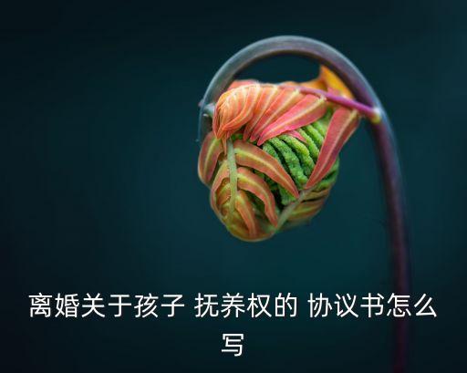 離婚關(guān)于孩子 撫養(yǎng)權(quán)的 協(xié)議書怎么寫