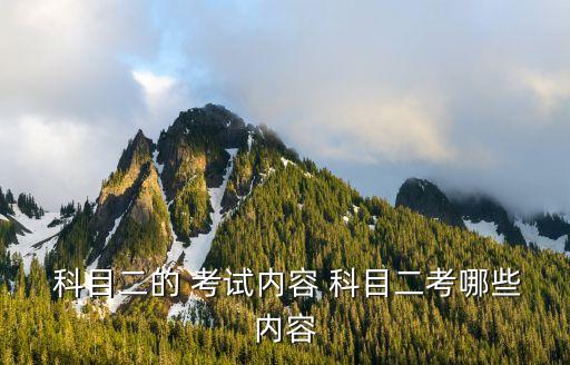 科目二考試項目,自動擋科目二考試項目