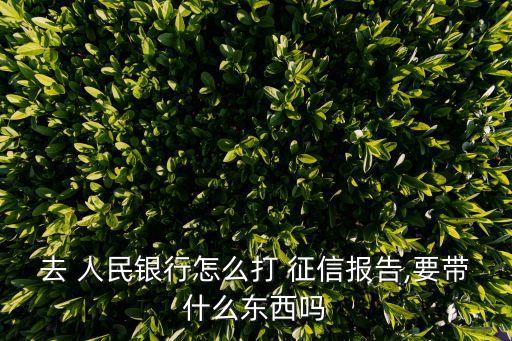 去 人民銀行怎么打 征信報(bào)告,要帶什么東西嗎