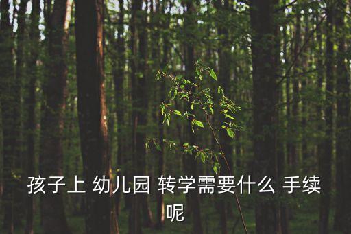 孩子上 幼兒園 轉(zhuǎn)學(xué)需要什么 手續(xù)呢