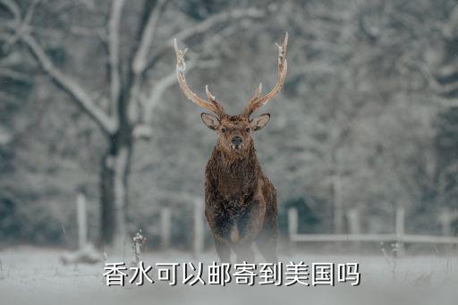  香水可以郵寄到美國嗎