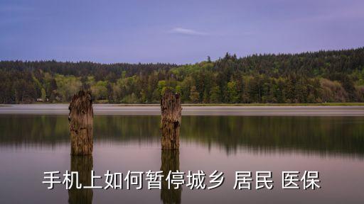 手機(jī)上如何暫停城鄉(xiāng) 居民 醫(yī)保