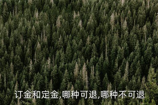 訂金約定了退還條件是否有效,定金 訂金哪個可以退還