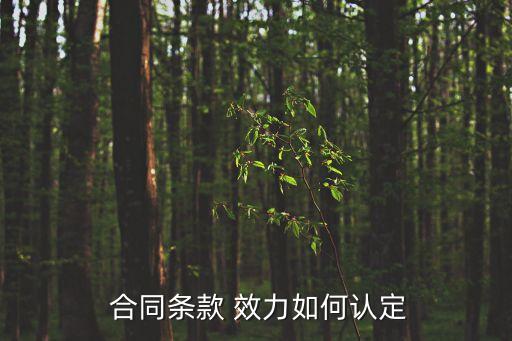  合同條款 效力如何認(rèn)定