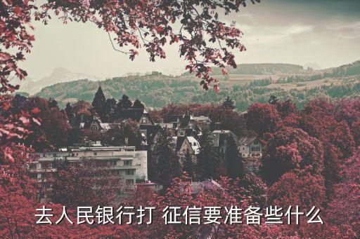去人民銀行打 征信要準(zhǔn)備些什么