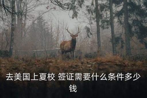 去美國上夏校 簽證需要什么條件多少錢