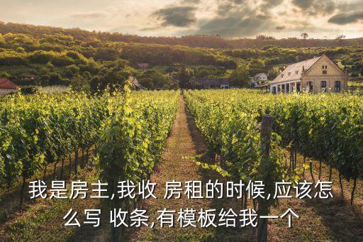我是房主,我收 房租的時候,應(yīng)該怎么寫 收條,有模板給我一個