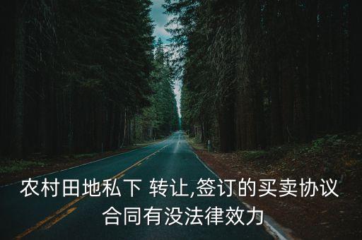 農(nóng)村田地私下 轉(zhuǎn)讓,簽訂的買賣協(xié)議 合同有沒法律效力