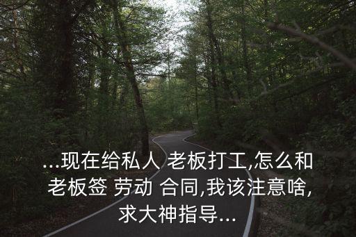 ...現(xiàn)在給私人 老板打工,怎么和 老板簽 勞動 合同,我該注意啥,求大神指導...