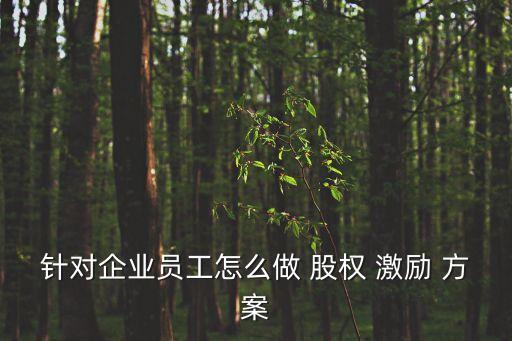 針對企業(yè)員工怎么做 股權(quán) 激勵 方案