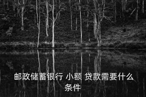  郵政儲蓄銀行 小額 貸款需要什么條件