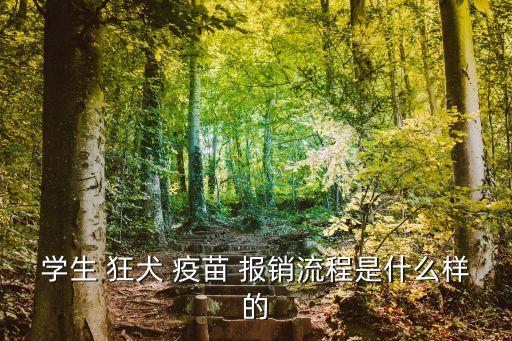 學生 狂犬 疫苗 報銷流程是什么樣的