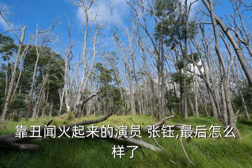 靠丑聞火起來的演員 張鈺,最后怎么樣了