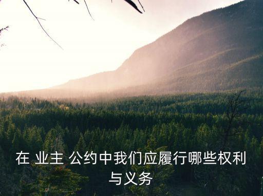 業(yè)主公約